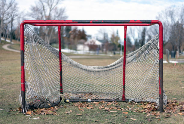 Hockey net outdoors stock photo