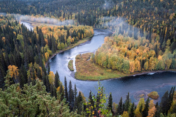 Scenic river landscape with fall colors woodland at autumn morning in National Park, Finland Scenic river landscape with fall colors woodland at autumn morning in National Park, Finland finnish lapland autumn stock pictures, royalty-free photos & images