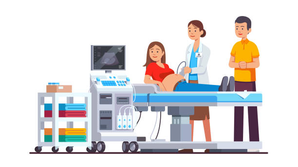 illustrazioni stock, clip art, cartoni animati e icone di tendenza di medico che fa donna incinta baby ecografia ecografia esame dell'addome. controllo dello screening feto all'interno dell'ufficio della clinica medica.        vettore isolato in stile piatto - ultrasound gynecologist gynecological examination human pregnancy