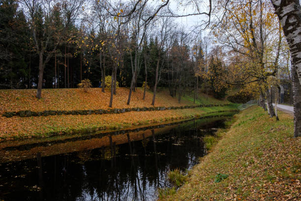 istock Riverbank covered with fallen leaves 1062159220
