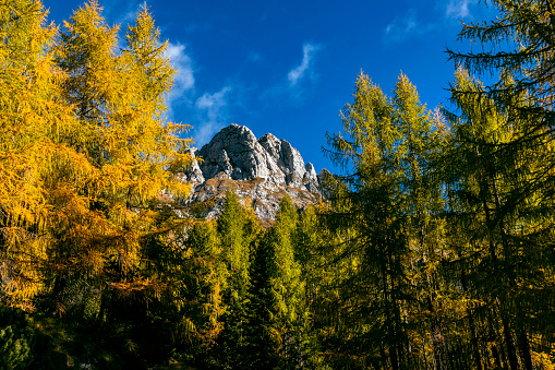 Autumn views under the mountain Mangart, Primorska, Julian Alps, Slovenia, Europe,Nikon D850
