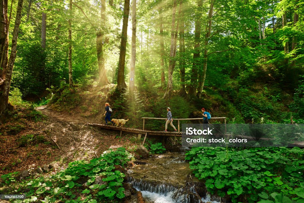 Gone Exploring Exploring Nature Stock Photo - Download Image Now - Hiking, Springtime ...