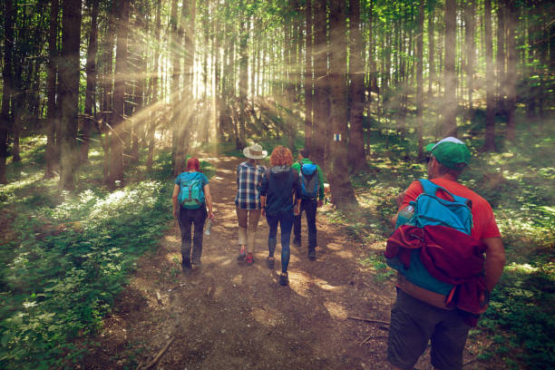 rear view of group of people enjoying adventure in forest, hiking and exploring nature.