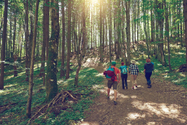 istock enjoying relaxing in hiking day 1062167726