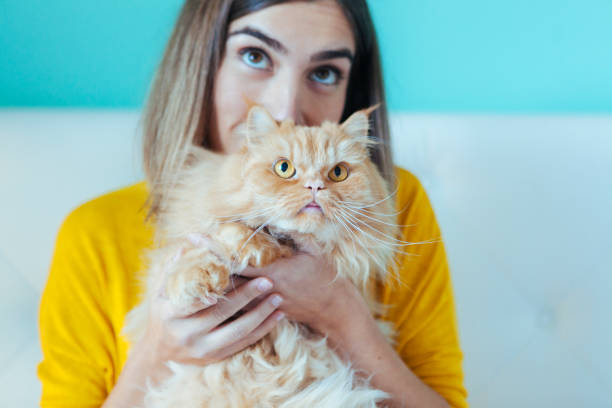istock cat adopted by lovely woman 1062168036