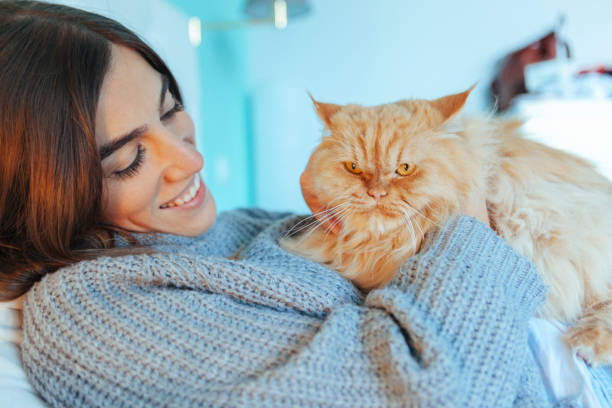 istock tender female stroking her cat in bed 1062168166