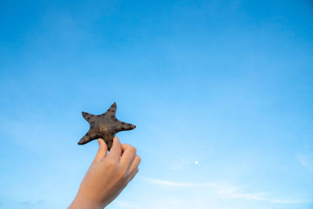 istock sea star/star fish in the sky with hand 1062171280