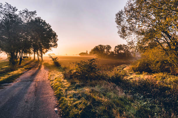istock Idyllic rural landscape in golden light 1062181914