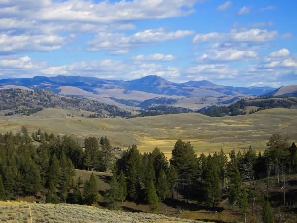 istock view to the mountains with some trees on a field 1062182416