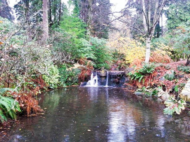 istock a small pond in a park with colorful bushes 1062182526