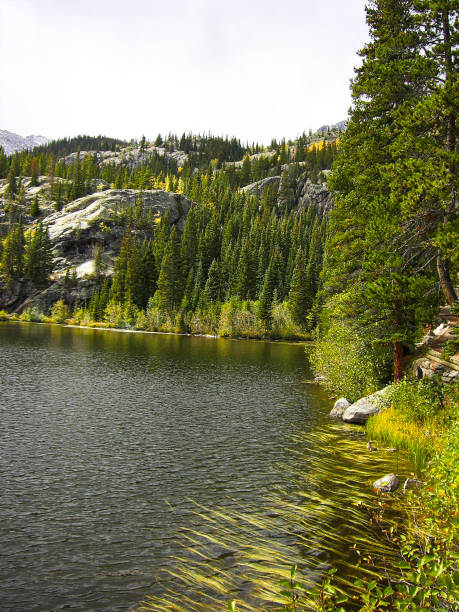 istock trees and a lake in the mountains in springtime 1062182588