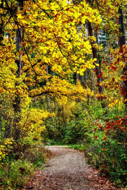 istock Earth colours during autumn in Nuremberg Germany. 1062184630
