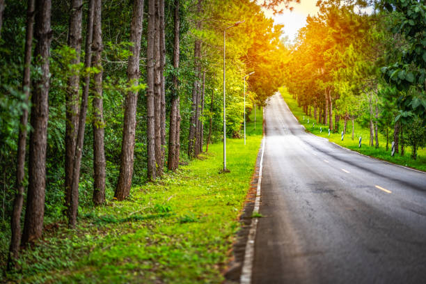istock Long highway street road on forest nature 1062186040