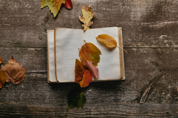 istock flat lay with fallen autumn leaves and blank notebook on wooden surface 1062195032