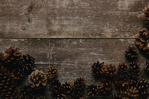 flat lay with arrangement of pine cones on dark wooden tabletop