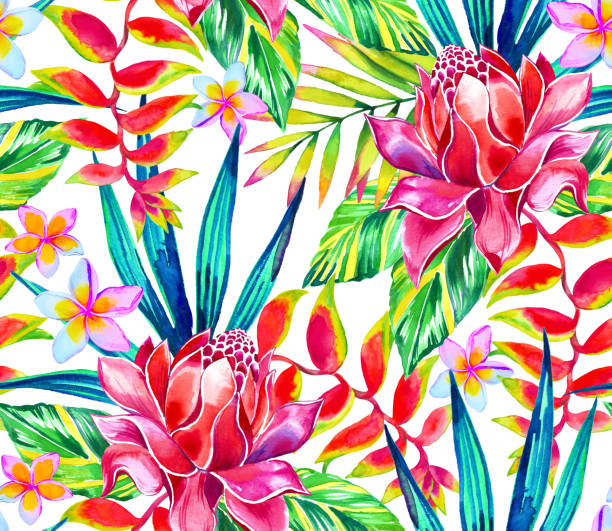 Tropical pattern with ginger and heliconia. Watercolor red flowers. Seamless tropical design, watercolor botanical illustration of red ginger, zebrina, heliconia flower. Exotic Asian flowers and leaves. On white background. parrots beak heliconia stock illustrations