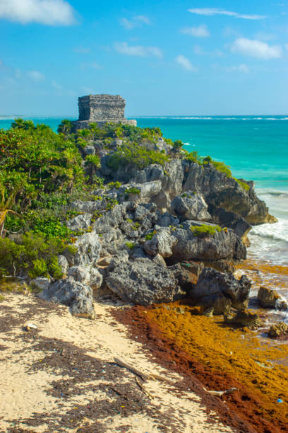 A view of Mayan ruins near Tulum in Mexico. The ruins are home to a large variety of Iguanas who perch on the walls and roof of the ruins to catch the sun.