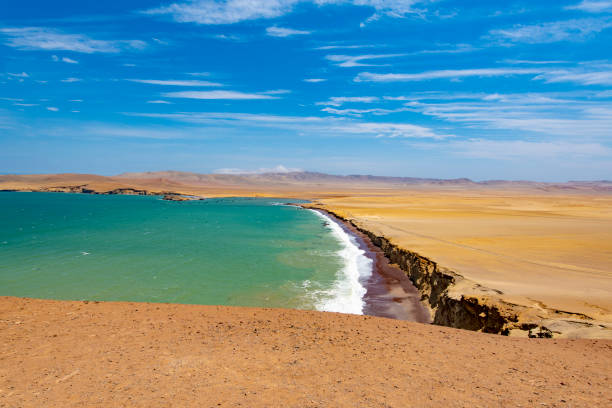 istock Paracas National Reserve 1062212004