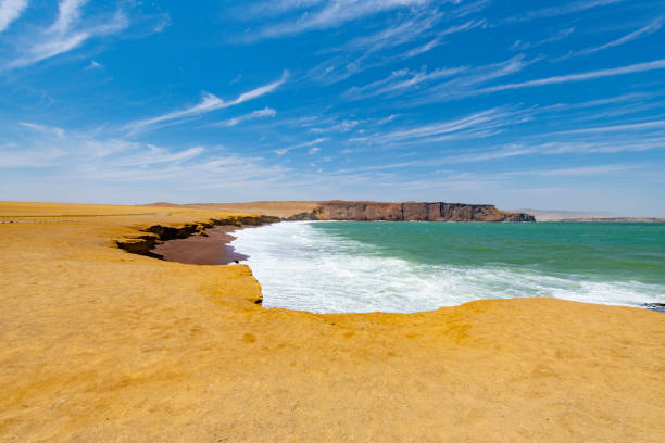 istock Paracas National Reserve 1062212006