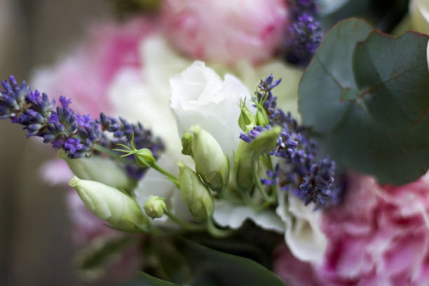 istock soft focus on a group of tender buds and flowers 1062214680