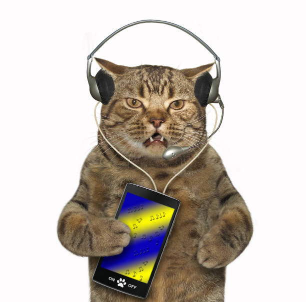 istock Cat in headphones with a smartphone 1062218652