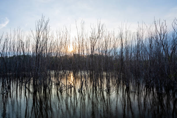 istock The trees on river bank reflected in water. 1062225866
