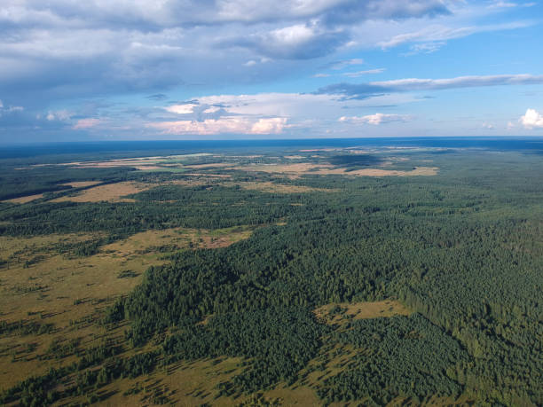 istock The forest from the height of a summer's day 1062235852