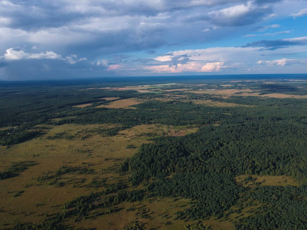istock The forest from the height of a summer's day 1062235864