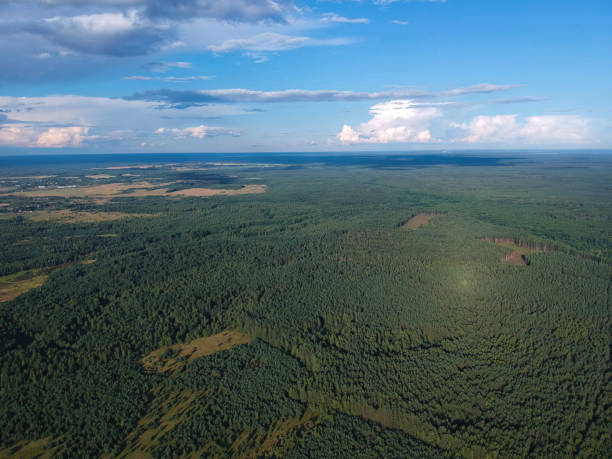 istock The forest from the height of a summer's day 1062235870