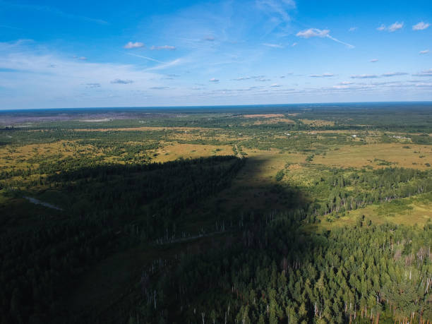 istock View of the burned forest from a height 1062236480