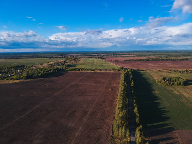 istock The road among the forest and fields from height 1062240942