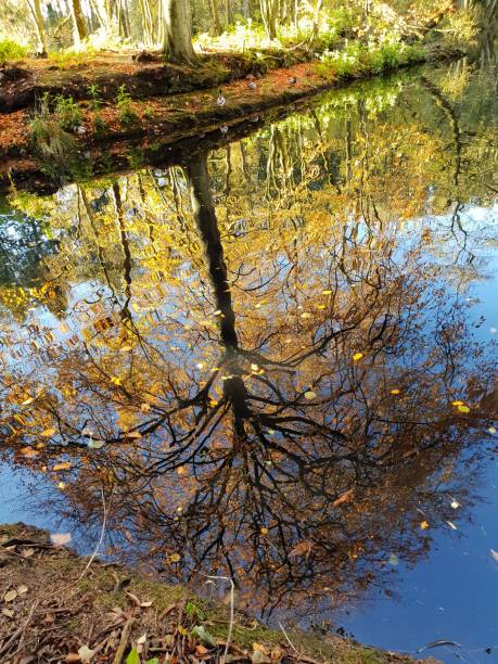 istock Autumn leaves, river and bridge 1062250048