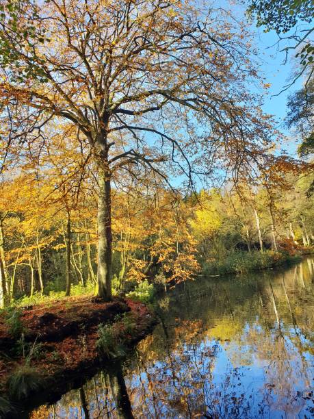 istock Autumn leaves, river and bridge 1062250052