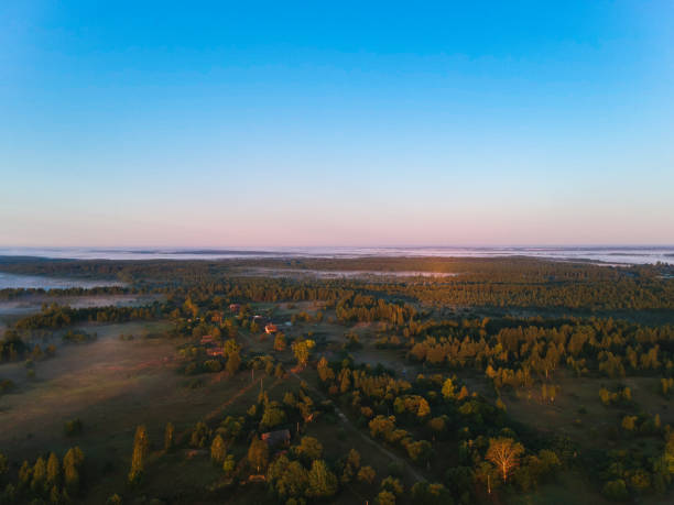 istock Forest in the fog from the heights at dawn 1062255376