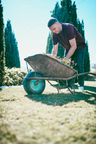 istock Wheelbarrow Full Of Flowers 1062258086