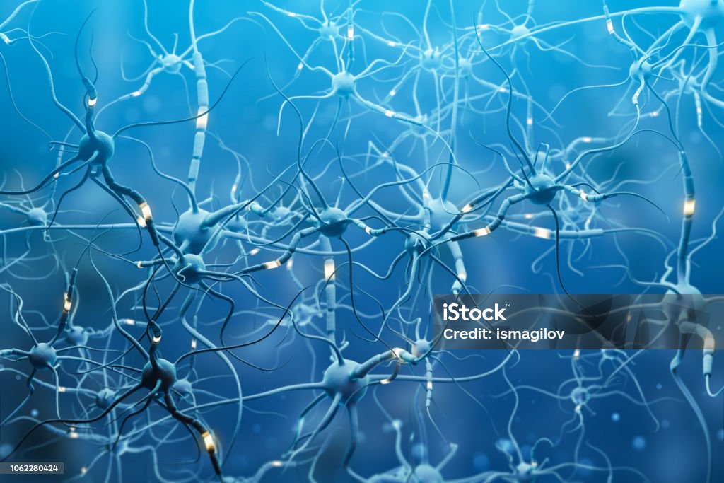 Blue neurons with glowing segments over blue Blue neurons with glowing segments over blue background. Neuron interface and computer science concept. 3d rendering copy space Abstract Stock Photo