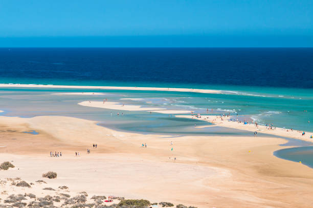 Beaches of Sotavento, Fuerteventura stock photo