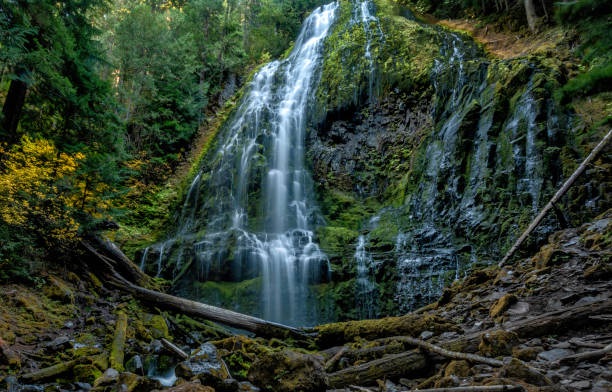 baixar proxy falls, montanhas de cascade, oregon - lower proxy falls - fotografias e filmes do acervo