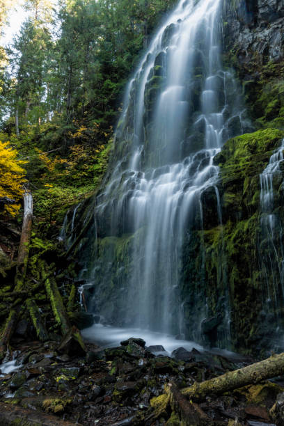 lower proxy falls, cascade mountains, oregon - lower proxy falls imagens e fotografias de stock