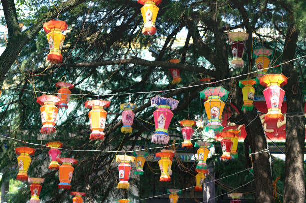 istock Huge tree being decorated with lots of lanterns hanging on the branches. 1062297018