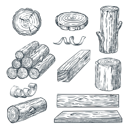 Wood logs, trunk and planks, vector sketch illustration. Hand drawn wooden materials. Firewood set.