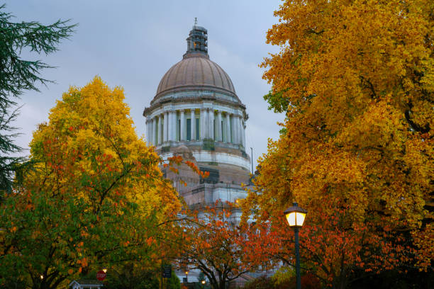 istock Washington State Capitol In Autumn 1062303548