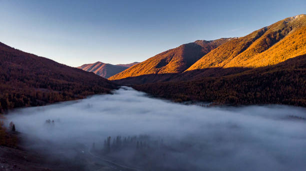 istock Kanas scenic area in autumn 1062308494