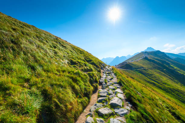 istock rocky trail for tourists, Kasprowy Wierch Poland 1062314084