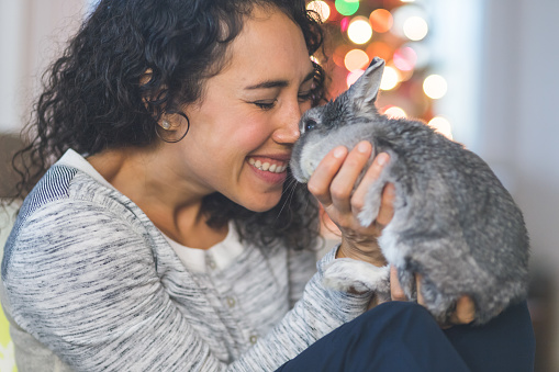 A young ethnic woman snuggles  with her fluffy little bunny rabbit by the Christmas tree in her living room. He is licking her nose and her face is scrunched up and smiling.