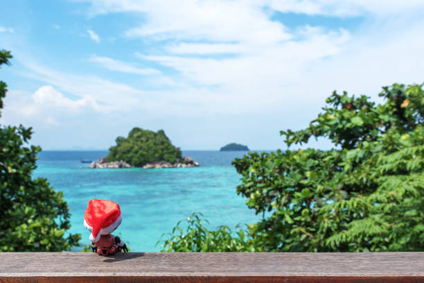 istock Tropical Paradise Christmas 1062320052