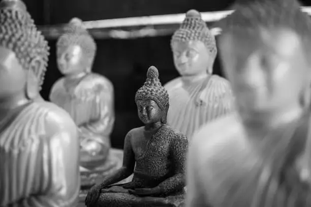 The Buddha statues