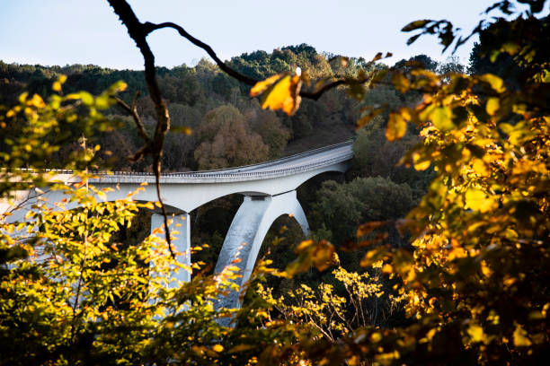 Natchez Trace Parkway Bridge - Photo