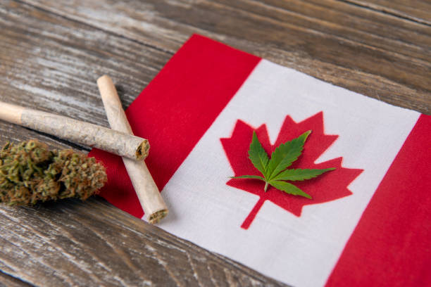 Canadian flag with assorted marijuana products - fotografia de stock