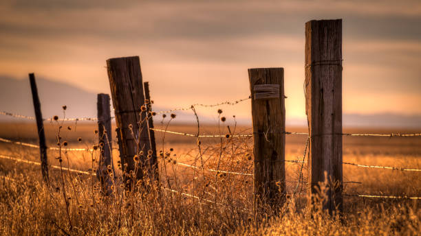 istock Barbed Wire Fence Protecting Farmland 1062360774